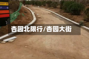 杏园北限行/杏园大街