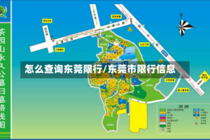 怎么查询东莞限行/东莞市限行信息
