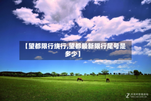 【望都限行绕行,望都最新限行尾号是多少】