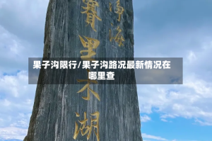 果子沟限行/果子沟路况最新情况在哪里查