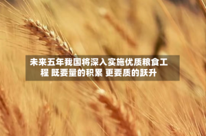 未来五年我国将深入实施优质粮食工程 既要量的积累 更要质的跃升