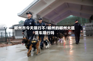 郴州市今天限行不/郴州的郴州大道货车限行吗