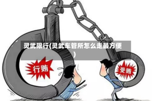 灵武限行(灵武车管所怎么走最方便)