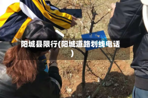 阳城县限行(阳城道路划线电话)