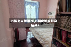 石榴岗大桥限行(石榴岗地块拍卖结果)