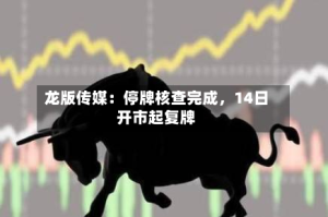 龙版传媒：停牌核查完成，14日开市起复牌