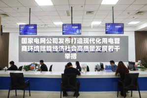 国家电网公司发布打造现代化用电营商环境赋能经济社会高质量发展若干举措