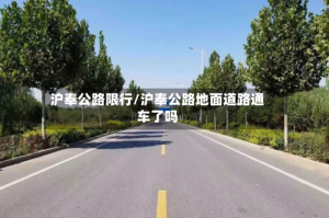 沪奉公路限行/沪奉公路地面道路通车了吗