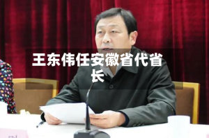 王东伟任安徽省代省长