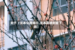 关于【沈本公路限行,沈本高速封路了吗】