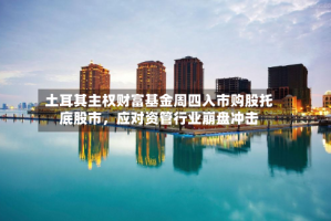 土耳其主权财富基金周四入市购股托底股市，应对资管行业崩盘冲击