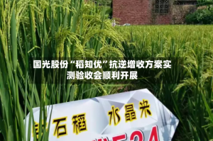 国光股份“稻知优”抗逆增收方案实测验收会顺利开展