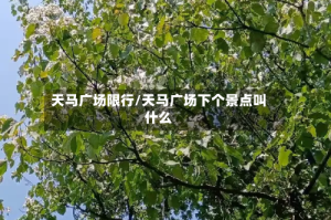 天马广场限行/天马广场下个景点叫什么