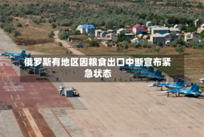 俄罗斯有地区因粮食出口中断宣布紧急状态