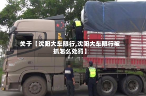 关于【沈阳大车限行,沈阳大车限行被抓怎么处罚】