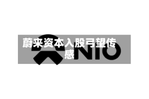 蔚来资本入股弓望传感