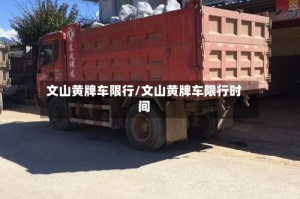 文山黄牌车限行/文山黄牌车限行时间