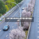 【遂宁限行限号吗,遂宁限行限不限小车】