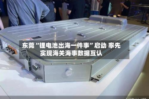 东莞“锂电池出海一件事”启动 率先实现海关海事数据互认