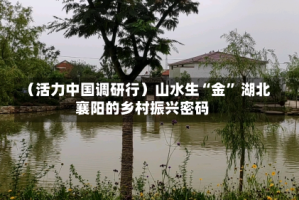 （活力中国调研行）山水生“金” 湖北襄阳的乡村振兴密码
