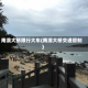南澳大桥限行大车(南澳大桥交通管制)