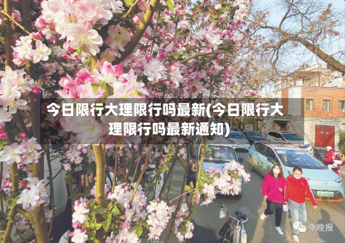 今日限行大理限行吗最新(今日限行大理限行吗最新通知)-第3张图片