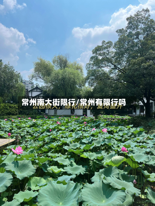 常州南大街限行/常州有限行吗-第1张图片