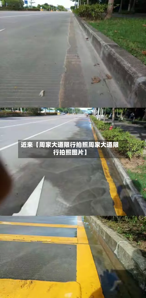 近来【周家大道限行拍照周家大道限行拍照图片】-第1张图片