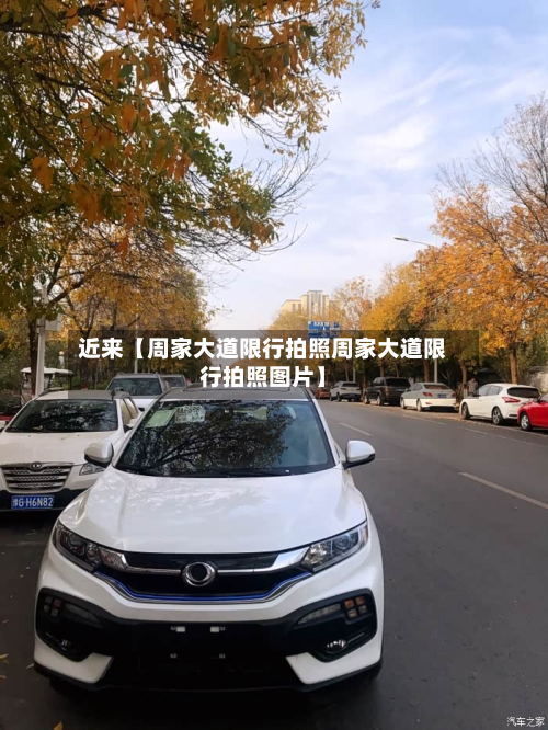 近来【周家大道限行拍照周家大道限行拍照图片】-第3张图片