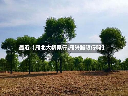 最近【雁北大桥限行,雁兴路限行吗】-第1张图片