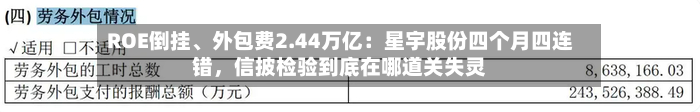 ROE倒挂	、外包费2.44万亿：星宇股份四个月四连错，信披检验到底在哪道关失灵-第2张图片