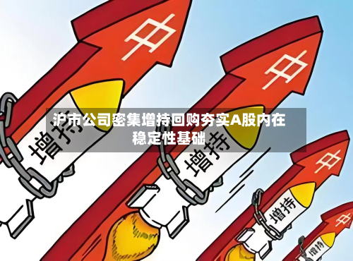 沪市公司密集增持回购夯实A股内在稳定性基础-第1张图片