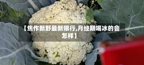 【焦作新野最新限行,月经期喝冰的会怎样】-第1张图片