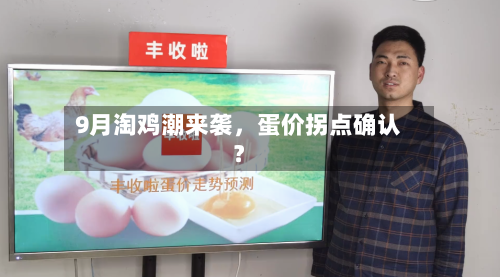 9月淘鸡潮来袭，蛋价拐点确认？-第3张图片