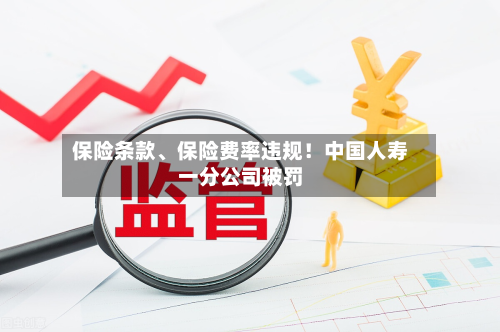 保险条款、保险费率违规！中国人寿一分公司被罚-第2张图片