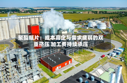 聚酯瓶片:成本高企与需求疲弱的双重挤压 加工费持续承压-第1张图片