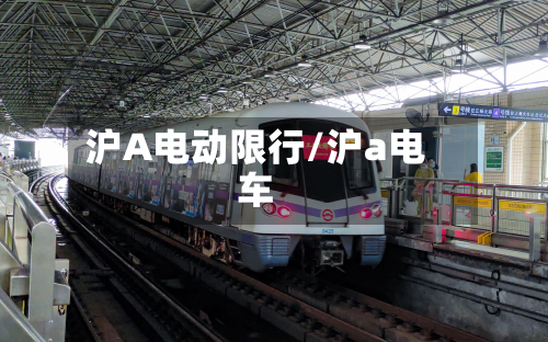 沪A电动限行/沪a电车-第2张图片