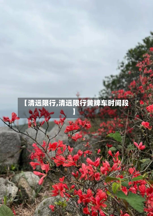 【清远限行,清远限行黄牌车时间段】-第1张图片
