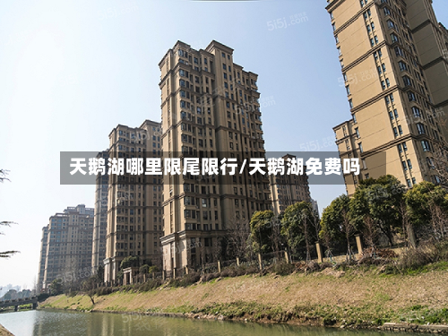 天鹅湖哪里限尾限行/天鹅湖免费吗-第2张图片