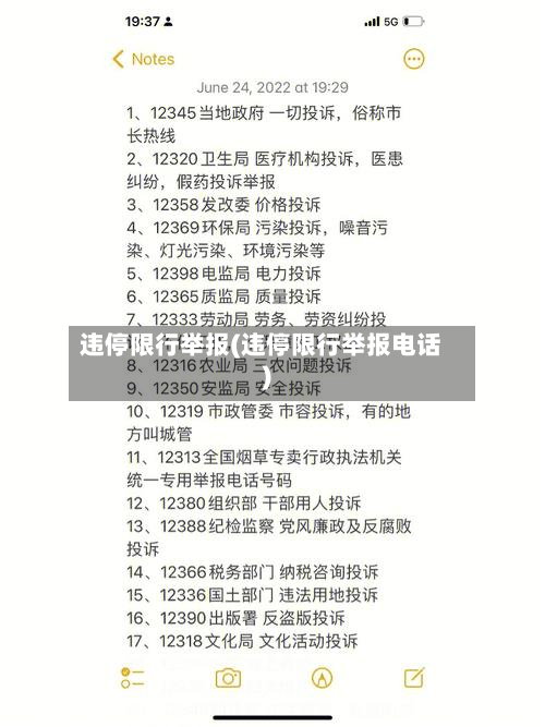 违停限行举报(违停限行举报电话)-第2张图片