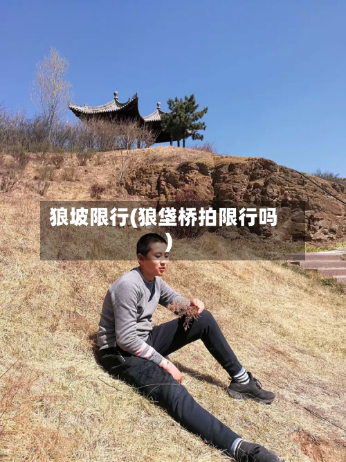 狼坡限行(狼垡桥拍限行吗)-第2张图片