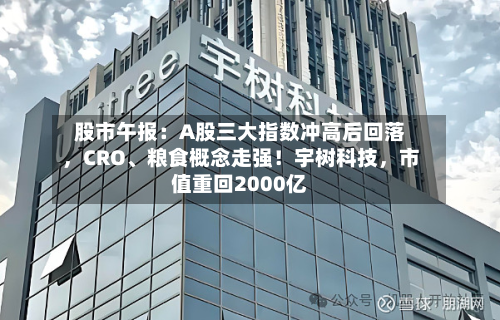 股市午报：A股三大指数冲高后回落	，CRO、粮食概念走强！宇树科技，市值重回2000亿-第2张图片
