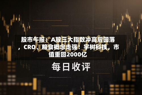 股市午报：A股三大指数冲高后回落，CRO、粮食概念走强！宇树科技，市值重回2000亿-第3张图片