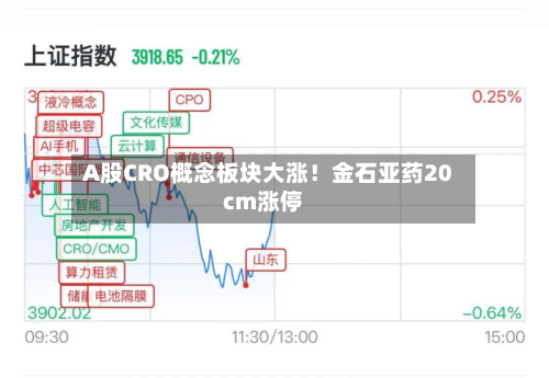 A股CRO概念板块大涨!金石亚药20cm涨停-第1张图片
