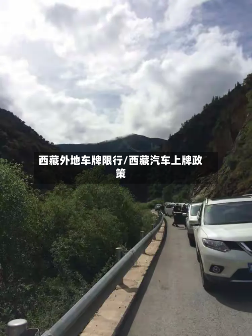 西藏外地车牌限行/西藏汽车上牌政策-第2张图片