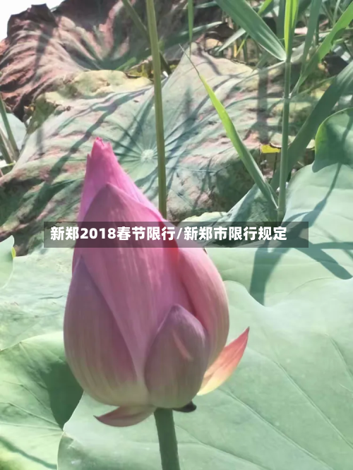 新郑2018春节限行/新郑市限行规定-第2张图片