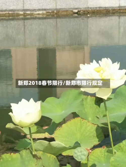 新郑2018春节限行/新郑市限行规定-第1张图片