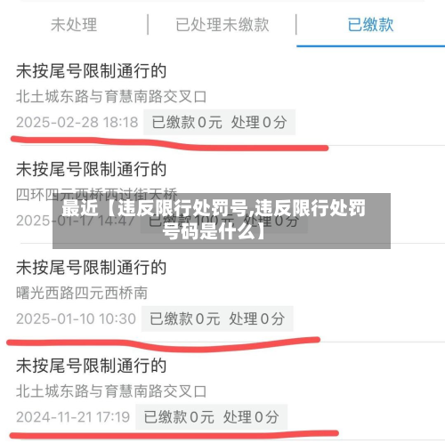 最近【违反限行处罚号,违反限行处罚号码是什么】-第2张图片