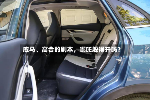 威马、高合的剧本	，哪吒躲得开吗？-第2张图片