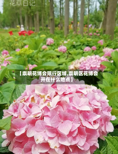 【崇明花博会限行区域,崇明区花博会开在什么地点】-第3张图片